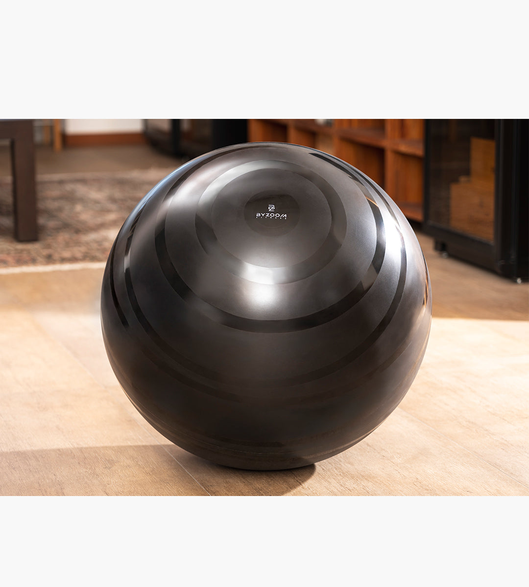 Gym Ball 65cm (black)