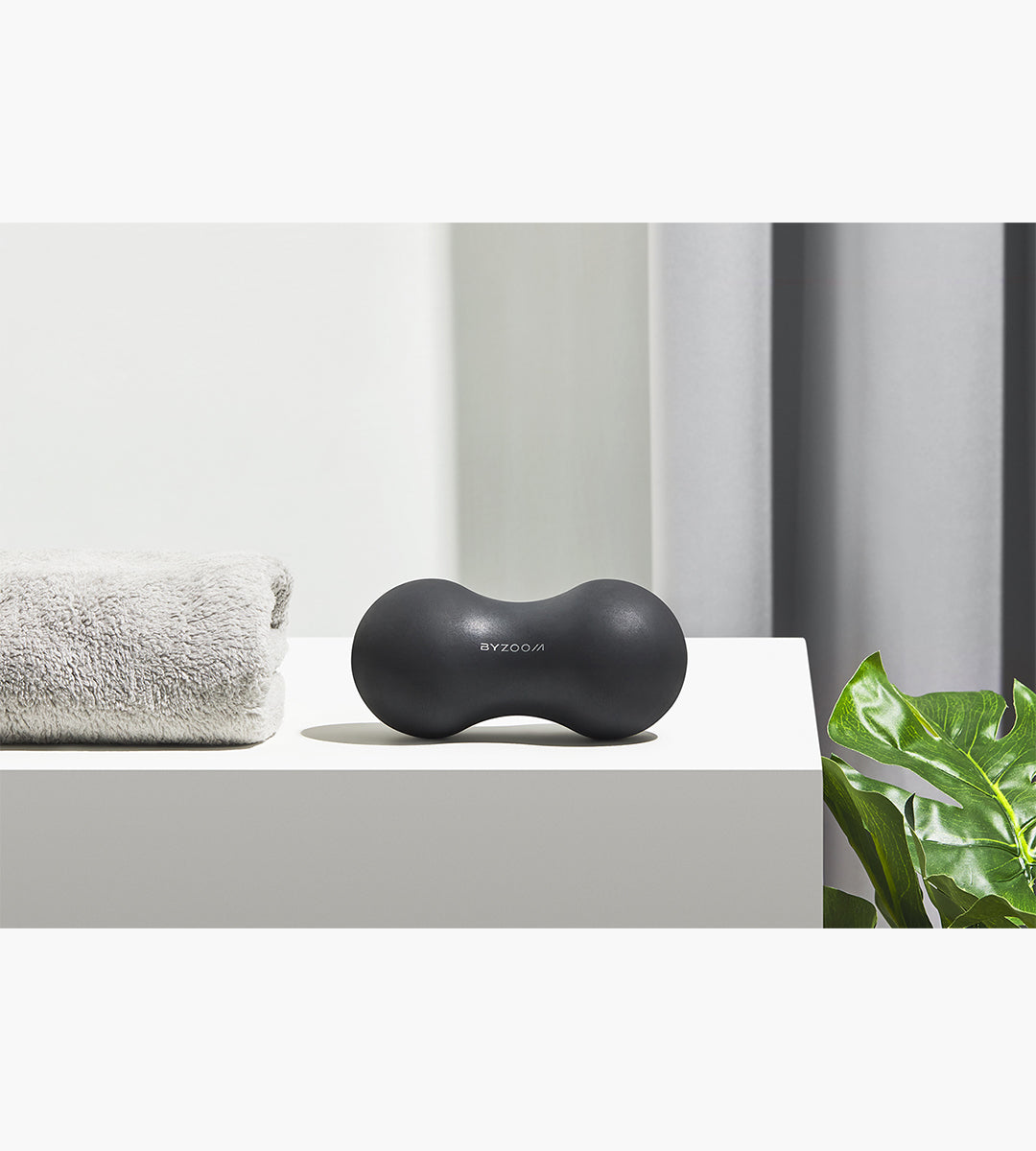 Double Massage Ball