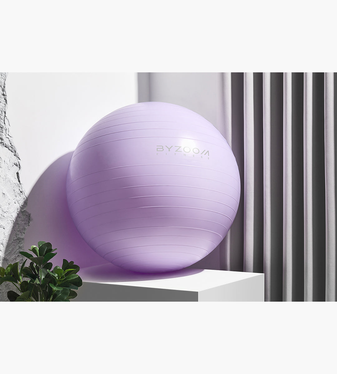 Gym Ball (purple)